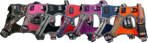 Hem boo sports - sports, dog