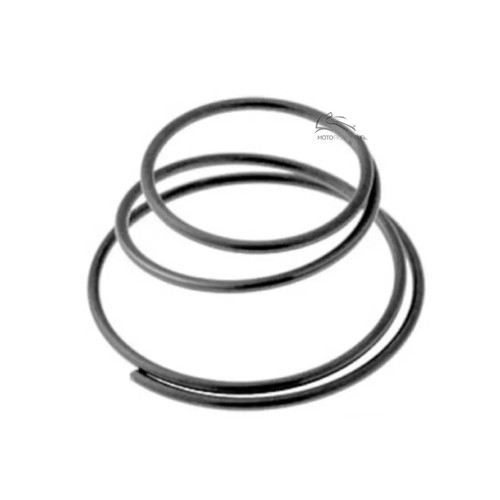 Sprung gear elastic piaggio - sprung,