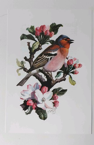 Tunnicliffe vintage bird - f,