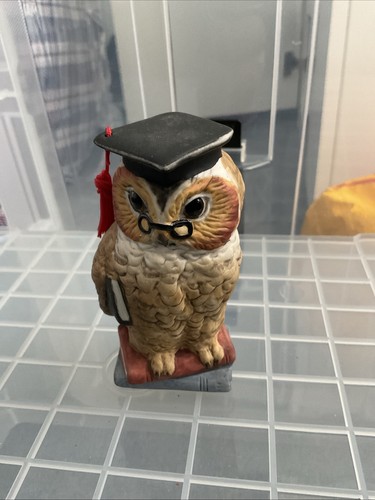 Wise owl leonardo - leonardo,