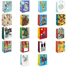 Boys Gift Bags | Boys Birthday