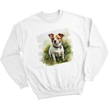 Jack Russell Dog Jack Russell