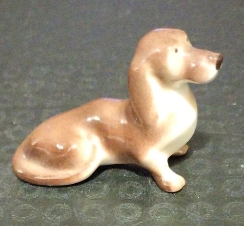 Miniature lomonosov dachshund - lomonosov,