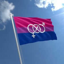 Bi-pride Symbol 5ftx3ft Flag