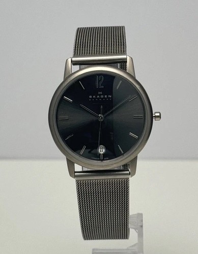 Skagen men titanium watch - skagen,