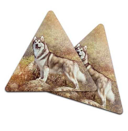 Triangle coaster alaskan - triangle,