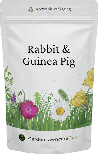 Rabbit guinea pig - pig, forage