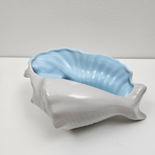 Poole pottery conch - conch, shell