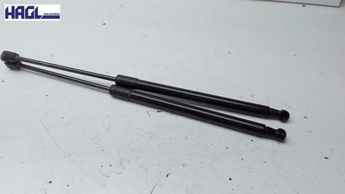 Gas strut tailgate - tailgate, heckklappe