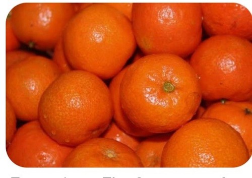 Very young sweet lemon - sweet,