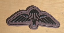 Parachute Regiment Airborne