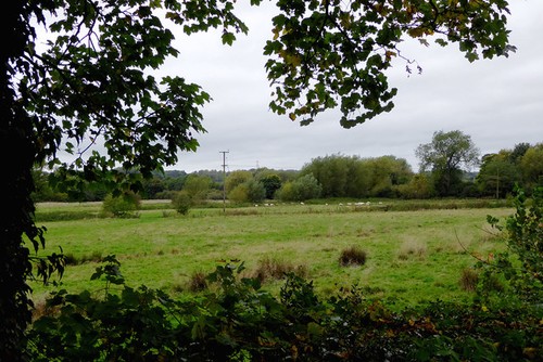 Photo 6x4 riverside pasture - photo,