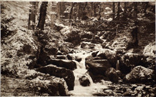 Postcard Nature B&W Gwynedd