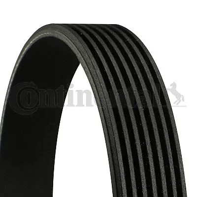 Ribbed belt fits alfa romeo - belt, fits: