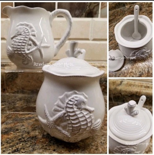 Seahorse starfish seashell - starfish,