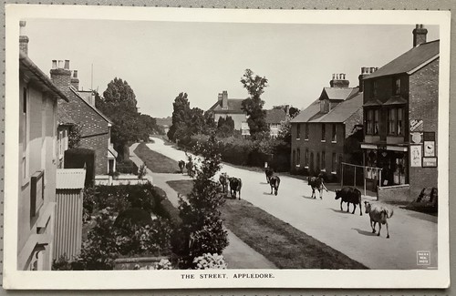 The street appledore kent - street,