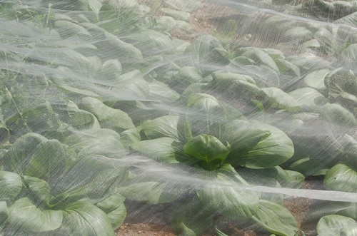 Agralan enviromesh fine garden - fine,