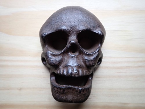 Cast iron skull wall - cast,