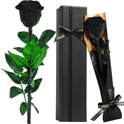 Touloube preserved real rose - preserved,