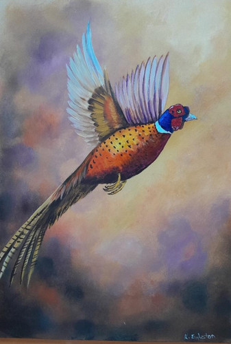 Oil painting pheasant - oil, a