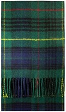 Stewart Hunting Modern Tartan