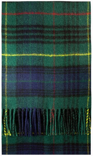 Stewart hunting modern tartan - hunting,