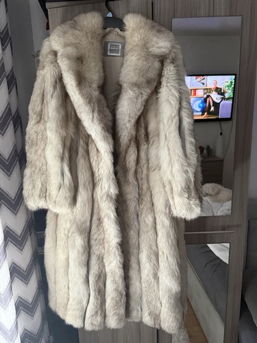 Real artic fox saga - artic,
