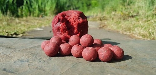 Boilies for carp - , fishing