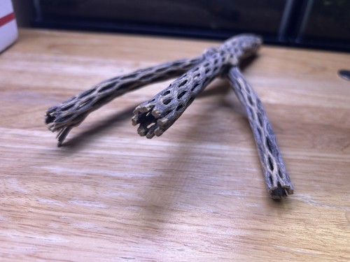 Unique cholla wood piece - unique,