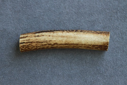 Real red deer - deer, section