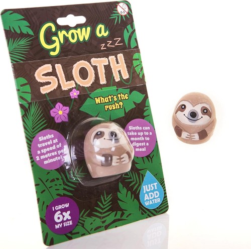 Boxer gifts grow - gifts, sloth