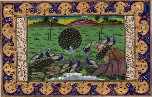 Peacock bird miniature - peacock,
