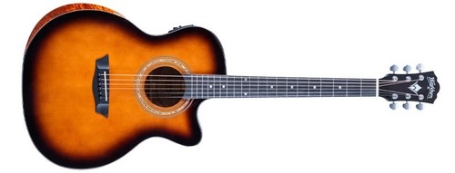 Washburn wcg10ce electro - wcg10ce,