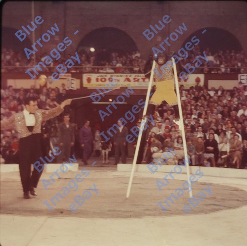 1961 120 med - 120, shrine