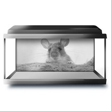 Fish tank background 90x45cm - fish,