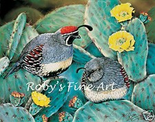 Gambel's Quail Art Print