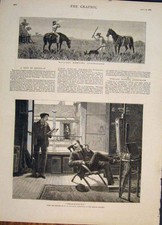 Old Antique Print Wallaby