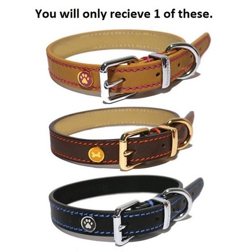 Rosewood luxury leather dog - rosewood,