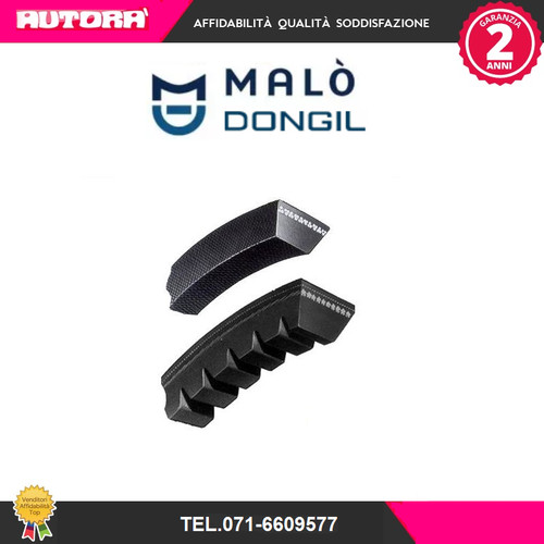 10x888 trapezoidal belt brand - belt, (brand