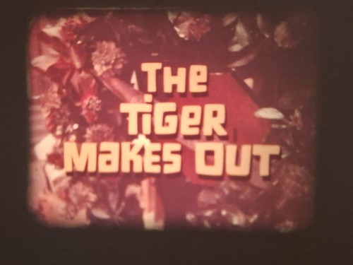 The tiger makes out 1967 - tiger,