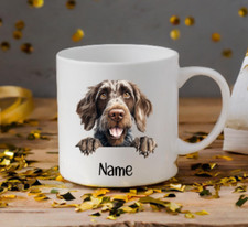 German Wirehaired Pointer Dog