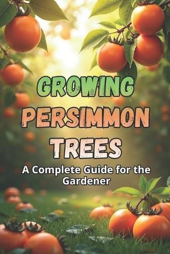 Svitana growing persimmon - svitana,