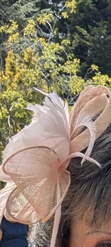 Women blush fascinator - blush,