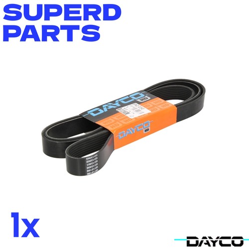 Dayco day8pk2120hd ribbed - dayco,