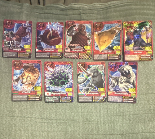 Animal kaiser evolution - evolution, 9-card