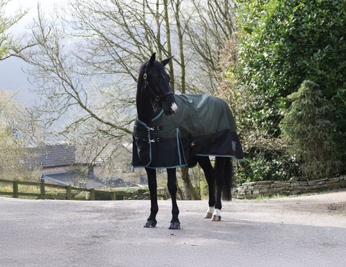 Whitaker horse turnout - whitaker, rug