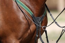 Breastplate V Elastic Black