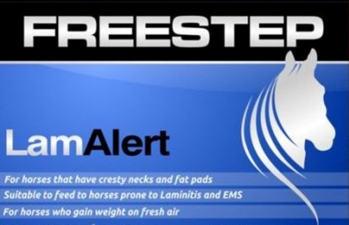 Freestep lamalert horse feed - horse,
