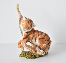 Country Artist Tiger Cub