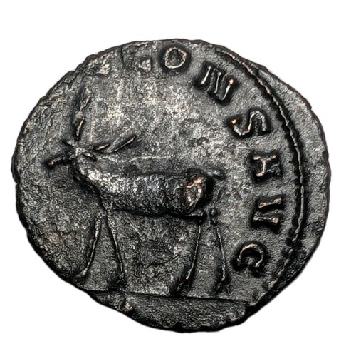 Ancient roman gallienus zoo - roman,